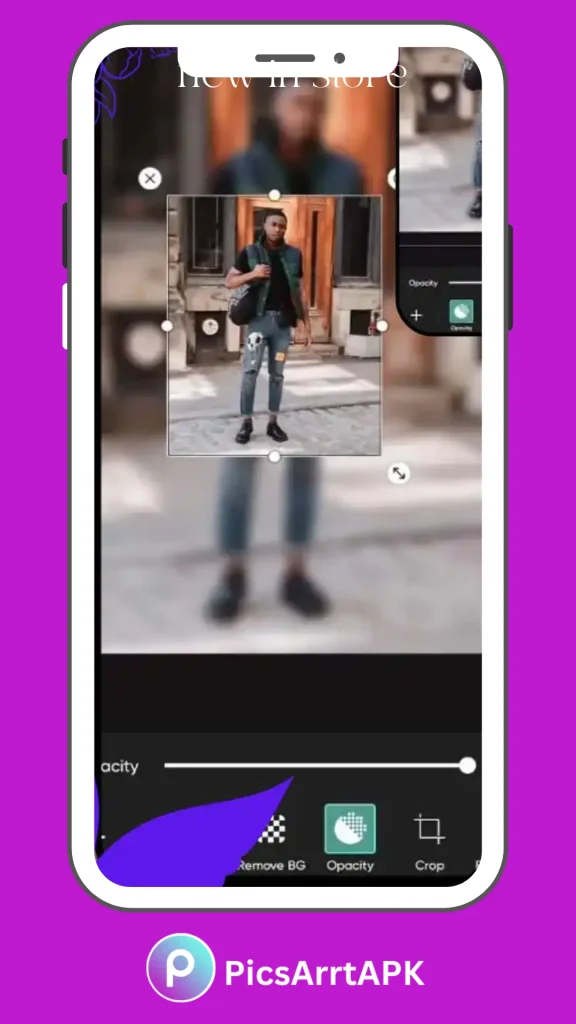PicsArt MOD APK Screenshorts